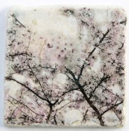 Nature Art tiles - Karen Winnubst