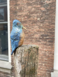 IJzvogeltje  opzij kijkend - Ron IJzerman