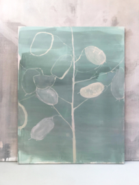 Lunaria on green - Maartje van den Noort