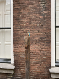 IJzvogeltje  omhoog kijkend - Ron IJzerman