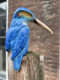 IJzvogel groot, opzij kijkend - Ron IJzerman