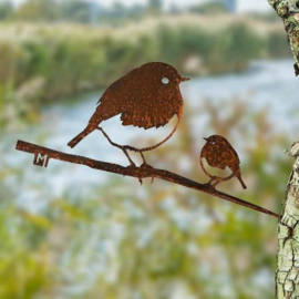 Roodborst met jong