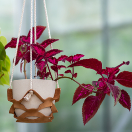 DIY Plantenhanger - Sas de Vries