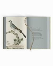 Boek PLINT - Handvol veren