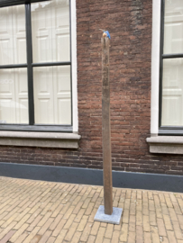 Grote ijzvogel met jong - Ron IJzerman