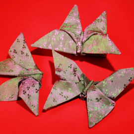Origami Bow Tie - Drama Fruit