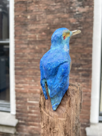 IJzvogel groot, omhoog kijkend - Ron IJzerman