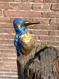IJzvogeltje  omhoog kijkend - Ron IJzerman