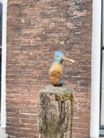 IJzvogeltje  opzij kijkend - Ron IJzerman