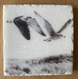 Nature Art tiles - Karen Winnubst