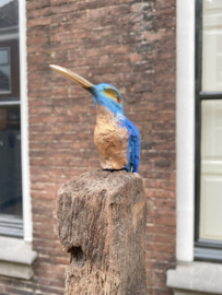 IJzvogel groot, omhoog kijkend - Ron IJzerman