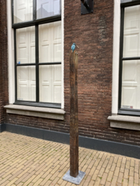 IJzvogel groot, vooruit kijkend- Ron IJzerman