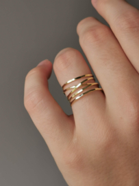 Ring Trail goldfilled - MINC