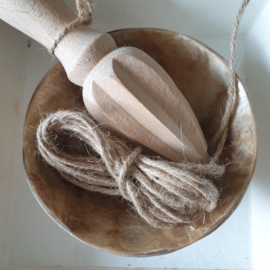 Schaaltje schelp Goud