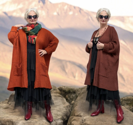 amandine oversized  viscose super zacht  gebreide vest  /in meerdere kleuren