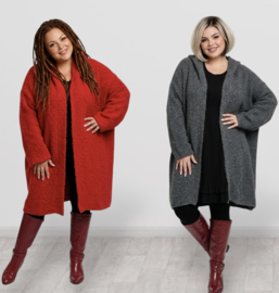 amandine oversized  super zacht bouclé gebreide vest met capuchon  /in meerdere kleuren