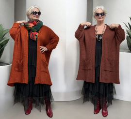 amandine oversized  viscose super zacht  gebreide vest  /in meerdere kleuren