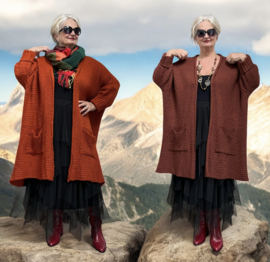 amandine oversized  viscose super zacht  gebreide vest  /in meerdere kleuren