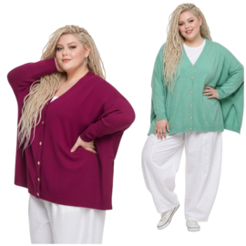 ITALIA oversized viscose mix gebreide vest/top/in meerdere kleuren