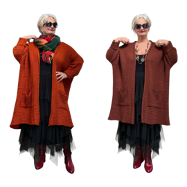 amandine oversized  viscose super zacht  gebreide vest  /in meerdere kleuren