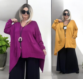 Moonshine oversized  viscose gebreide top /in meerdere kleuren