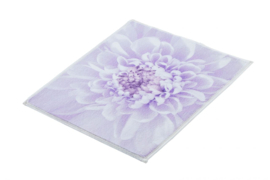 Kleine Wolke CLASSIC Dahlia Badmat Lavendel Paars