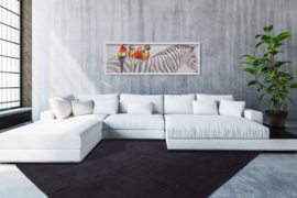 Vloerkleed Laagpolig Effen "Velluto" Graphite