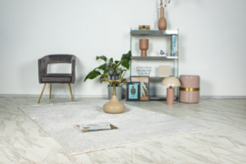 Vloerkleed Modern Scandinavisch Laagpolig "Elif 3" Grijs