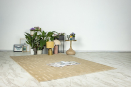 Vloerkleed Modern Scandinavisch Laagpolig "Amira" Beige