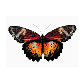 vlinder vosje (29x40cm)
