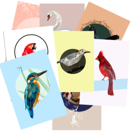 postkaartenset vogels