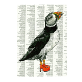 puffin (29x40cm)