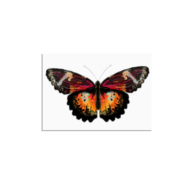 postkaart A6, vlinder
