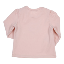 Gymp 4774  truitje old rose