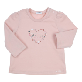 Gymp 4774  truitje old rose