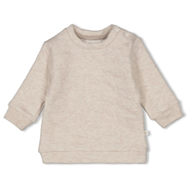 feetje 51602392 sweater taupe melange
