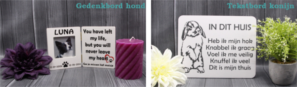 slideshow 2 huisdieren slideshow 2 huisdieren