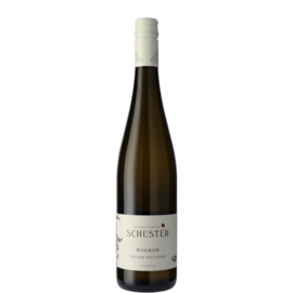 Weingut Familie Schuster Gruner Veltliner BIO