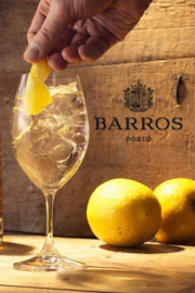 Barros Port White