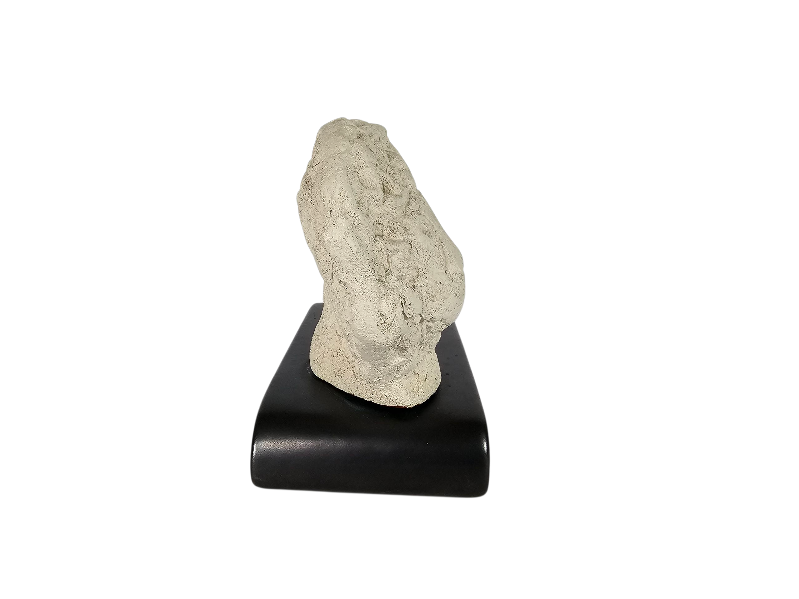 Bitossi - Aldo Londi - Leeuw - Leeuw op standaard - ongeglazuurd - sculptuur - Flavio Montelupo - 80's