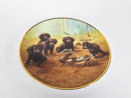 Franklin Mint - design by James Killen - Limited Edition - (set) 3 - Team Practice  -  80's