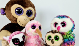 Ty Beany Boo -  collectors items - Coconut - Owen - Kiwi - Sammy  - Lee Ann (5)