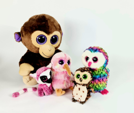 Ty Beany Boo -  collectors items - Coconut - Owen - Kiwi - Sammy  - Lee Ann (5)