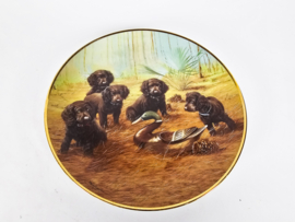 Franklin Mint - design by James Killen - Limited Edition - (set) 3 - Team Practice  -  80's