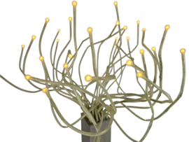 Ikea design - model Stranne  -  Type B0526 - Jellyfish - Medusa - designers Knut Hagberg en Marianne Hagberg -  2000