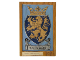 Stads & Provinciewapens - Historische Wapenschilden - hout - (8) -  2e helft 20e eeuw
