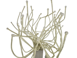 Ikea design - model Stranne  -  Type B0526 - Jellyfish - Medusa - designers Knut Hagberg en Marianne Hagberg -  2000