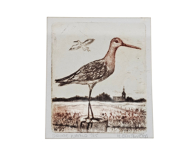 Harm Echten - Droge Naald Techniek - Holland - Ruinen - Miniatuurets - 1993
