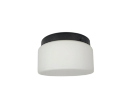 Raak Amsterdam - opaalglas - model P.1454.0003 - plafonniere