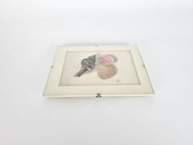 Aquarelles Madeleine den Fex - Holland - Amsterdam -  monogram - 3e kwart 20eeuw